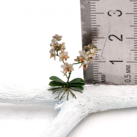 S175MWP Орхидея, размер M