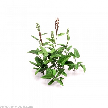 S174MWP Конский щавель, размер L