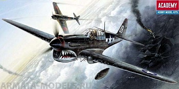 12465 Самолёт  P-40M/N Warhawk 